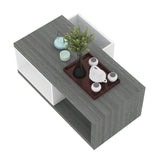 SRK -Decor Coffee Table with Drawer